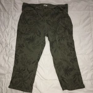 Westport Plus size 18w green capris